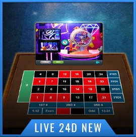 DingDong 24D New